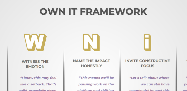OWN IT Framework